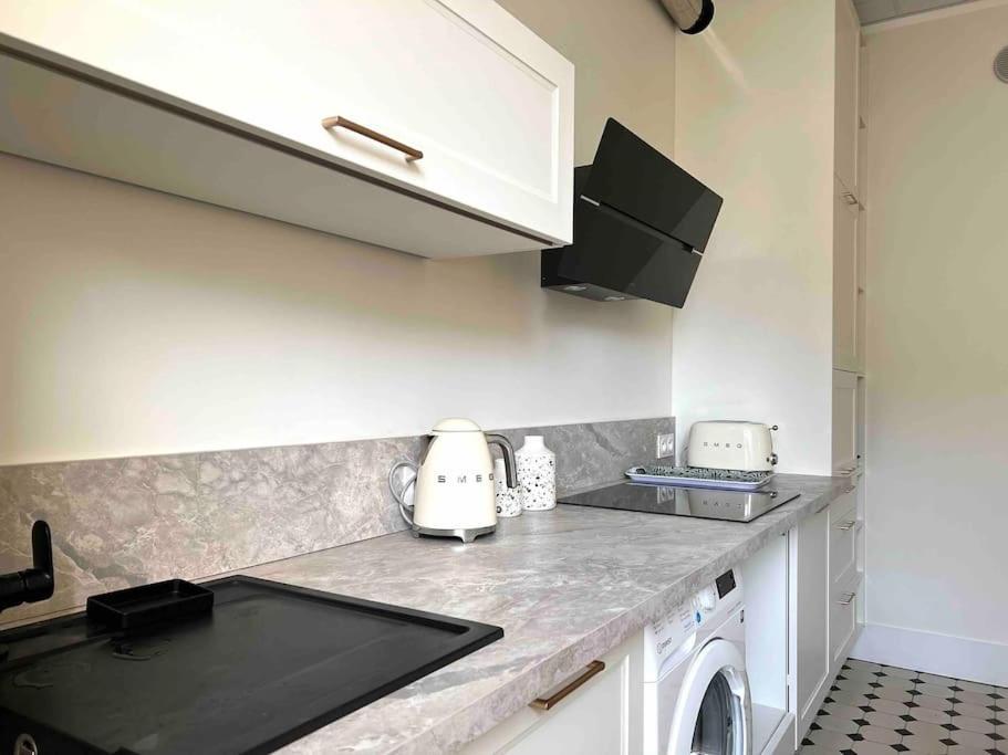 Appartement Entierement Renove Proche Gare Grenoble Exterior photo